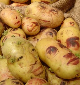 potato 21