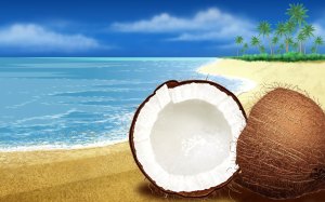coconut 1