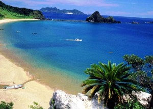 ito 16 Kagoshima