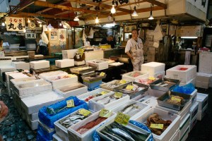 ito 4 Tsukiji Fish Market 2