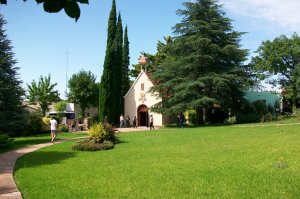 c 16 nueva helvecia