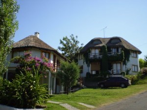 las canas 5