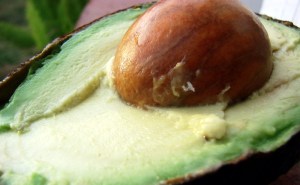 avocado 23