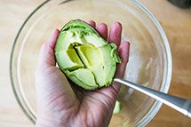 guacamole 19a