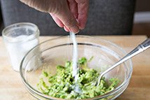 guacamole 20