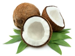 coconut 18