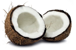 coconut 19