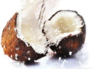 coconut 20
