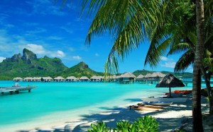 coconut 29 bora bora