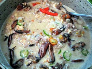 coconut 6k in chilli cocomik