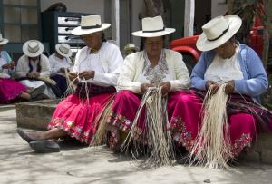 panama hat 37 weavers