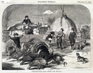 thanksgiving A30