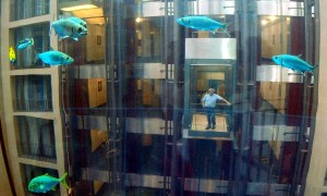 aquadom 1
