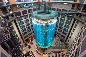 aquadom 16