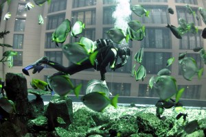aquadom 3a
