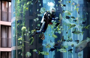 aquadom 3b