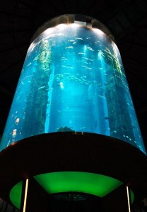 aquadom 6