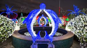christmas 14a cayman islands