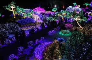 christmas 40 gapyejong garden of morning calm south korea