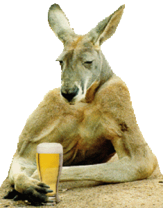 beer 30 aussie 3