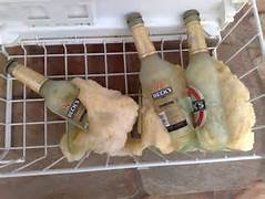 beer 40