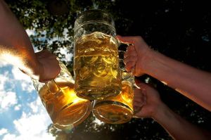 beer 7