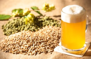 beer 9