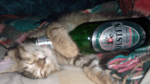 beer claim 7
