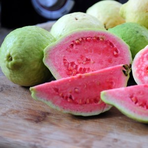 guava 1