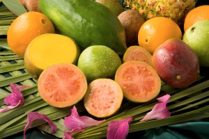 guava 2