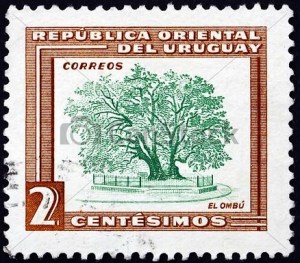 ombu 14