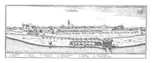 witt 1a