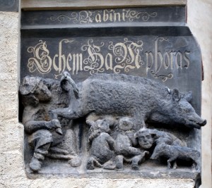 witt 6f antisemitic pig