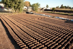 brick 1a