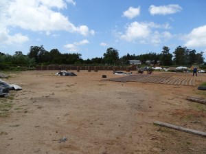 DSC00096