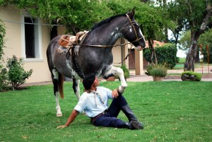 gaucho 10