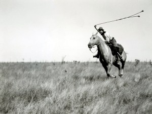 gaucho 17