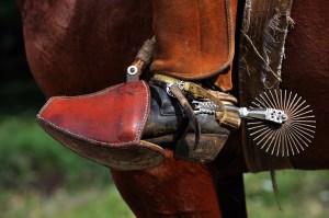 gaucho 22a