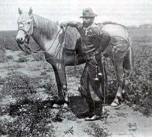 gaucho 24