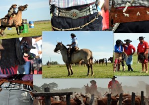 gaucho 33 rodeo