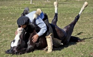 gaucho 33a