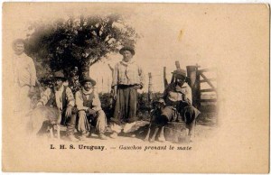 gaucho 39 1900