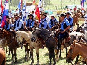 gaucho 42f