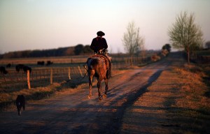 gaucho 42h
