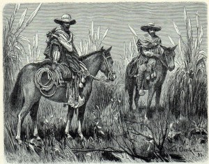 gaucho 49aa
