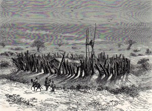 gaucho 49ea
