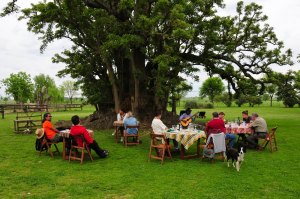 ombu 19b gaucho lunch