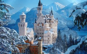 welt 10l neuschwanstein