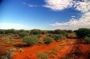 aust desert 2 track SA