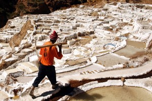 salt 15 maras 40km cuzco